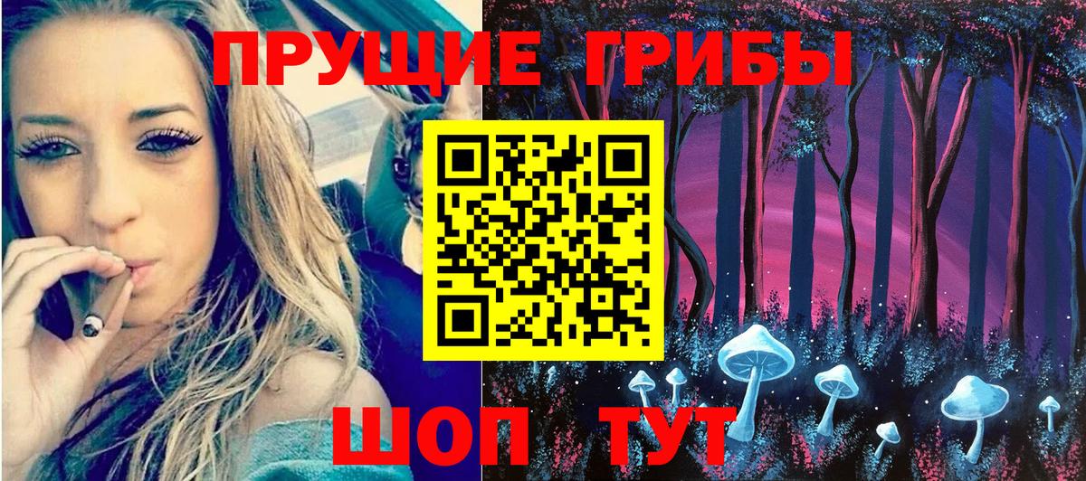 Галлюциногенные грибы мухоморы Северск