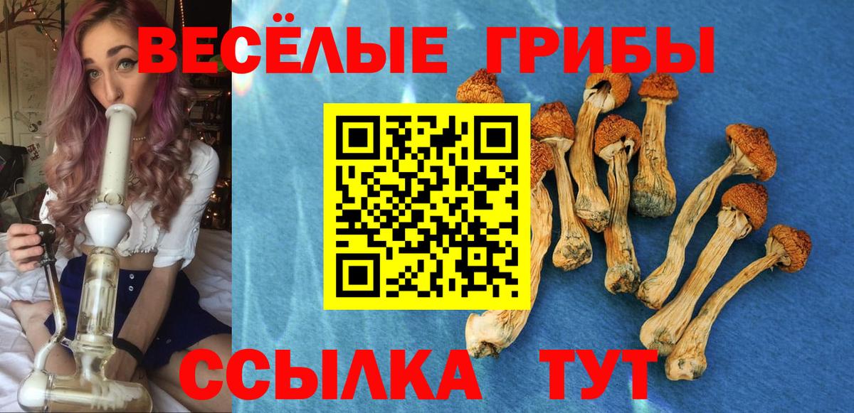 цена   Псилоцибиновые грибы Psilocybe  Вход с VPN  Северск 